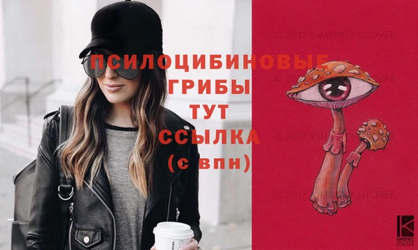 прущая мука Бородино
