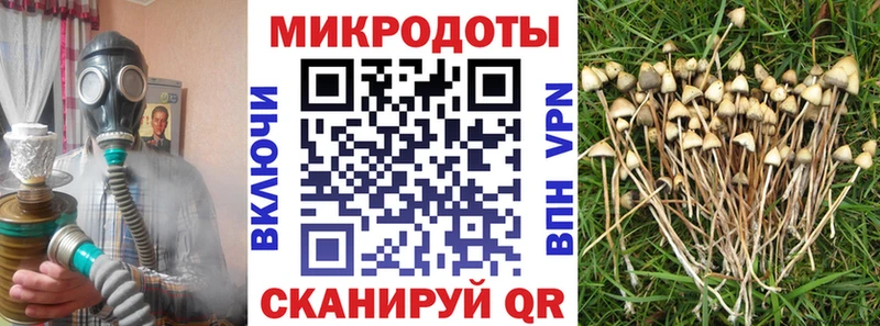 Галлюциногенные грибы мухоморы  kraken маркетплейс  Инта  дарнет шоп 